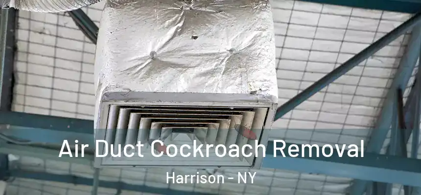 Air Duct Cockroach Removal Harrison - NY