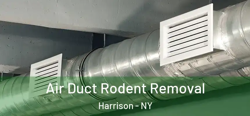 Air Duct Rodent Removal Harrison - NY