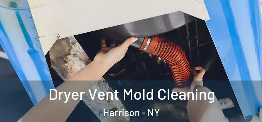  Dryer Vent Mold Cleaning Harrison - NY