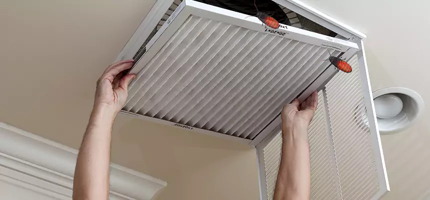 Preventive Cockroach-Proofing for Ducts in Harrison