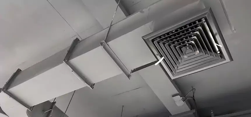 Restorative Allergy Relief Vent Cleaning – Coil, Blower & Housing Detail in Harrison