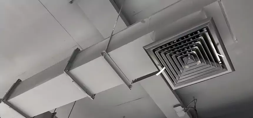 Our Rodent Droppings In Vents Services in Harrison, NY