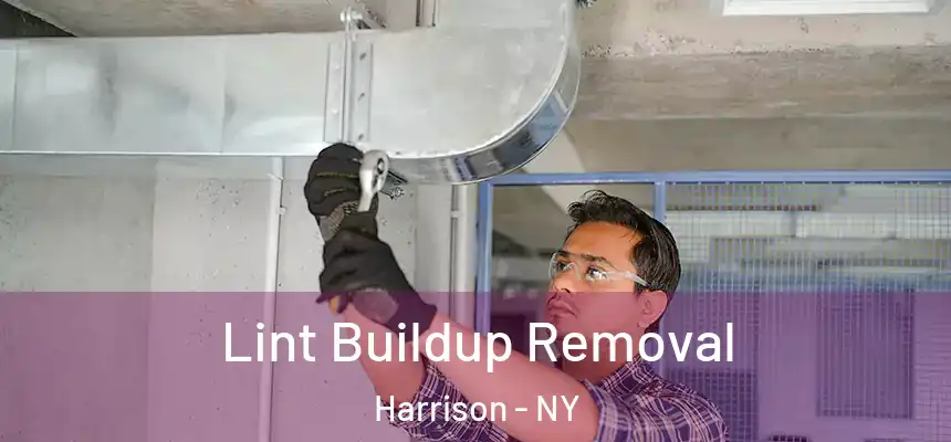 Lint Buildup Removal Harrison - NY