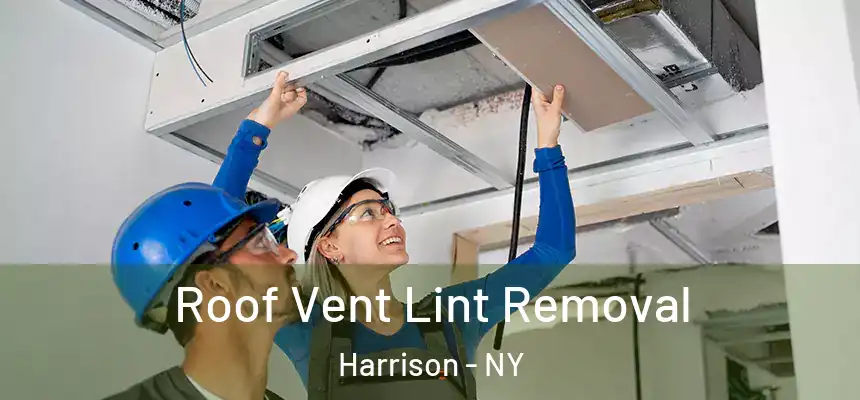Roof Vent Lint Removal Harrison - NY