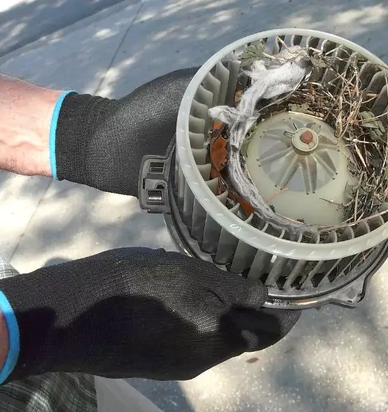 About Air Duct Mice Removal in Harrison, NY