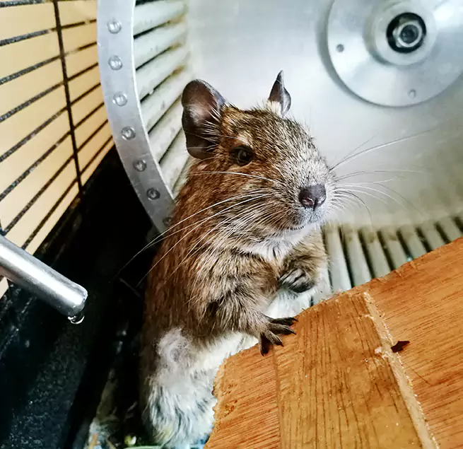 Why Homeowners & Businesses Trust Us Harrison, NY?